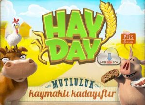 hay day indir